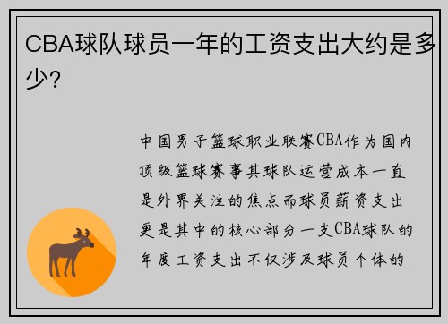 CBA球队球员一年的工资支出大约是多少？